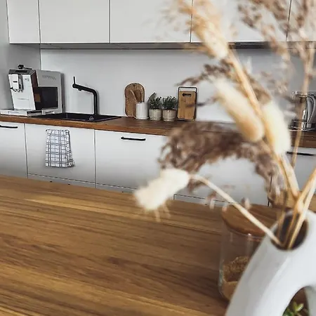 Apartment Zahrazany Most